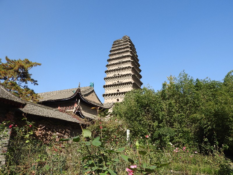 05 Pagoda Della Piccola Oca